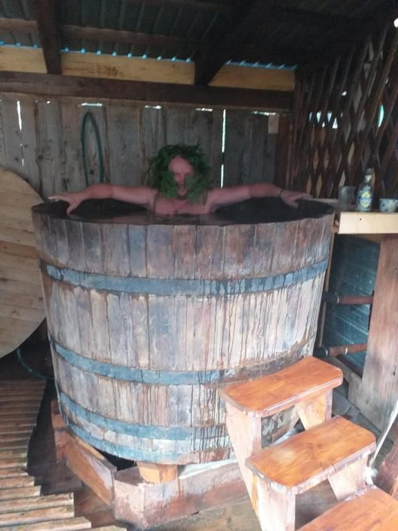 Дома для отпуска Садиба Під Чертежиком Bradulovets