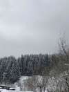 Дома для отпуска Садиба Під Чертежиком Bradulovets-5